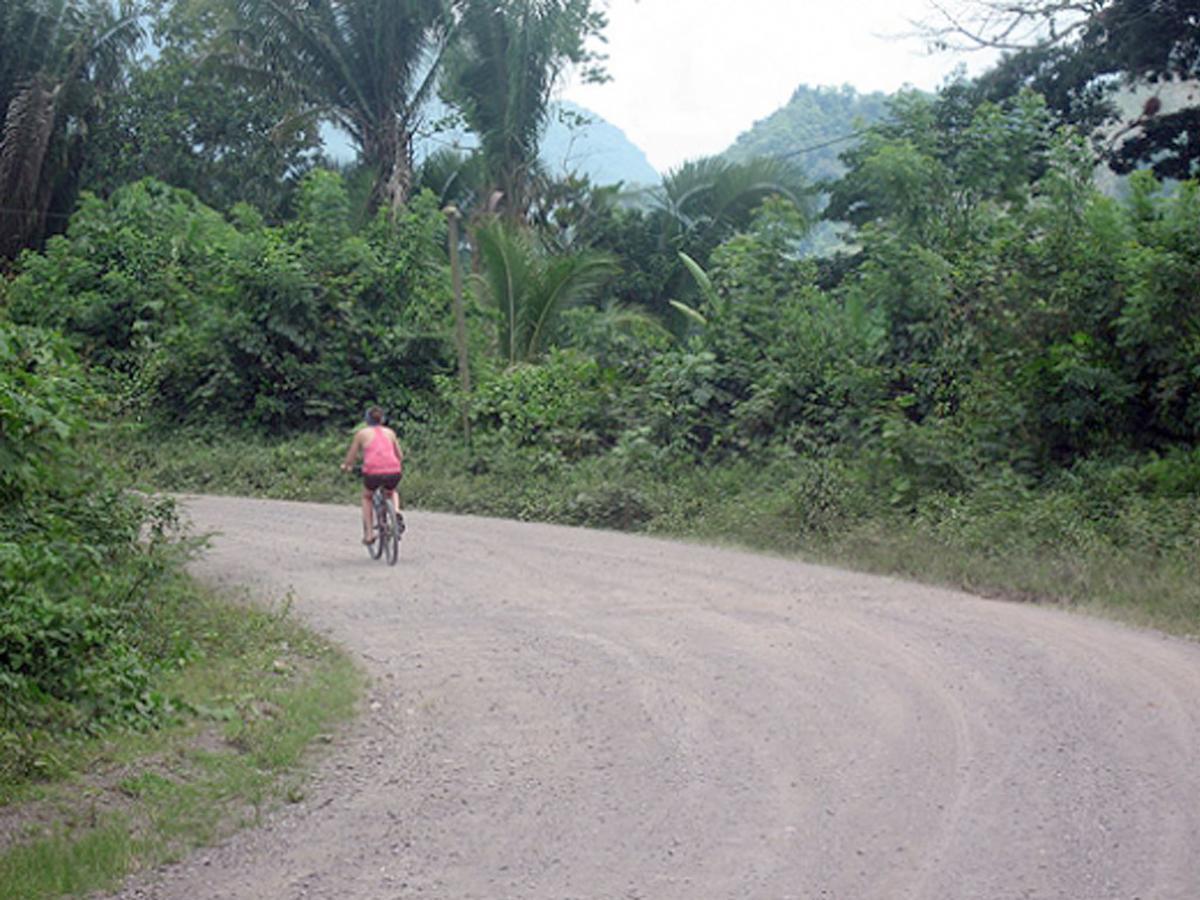 Omega Tours Eco-Jungle Lodge La Ceiba Luaran gambar