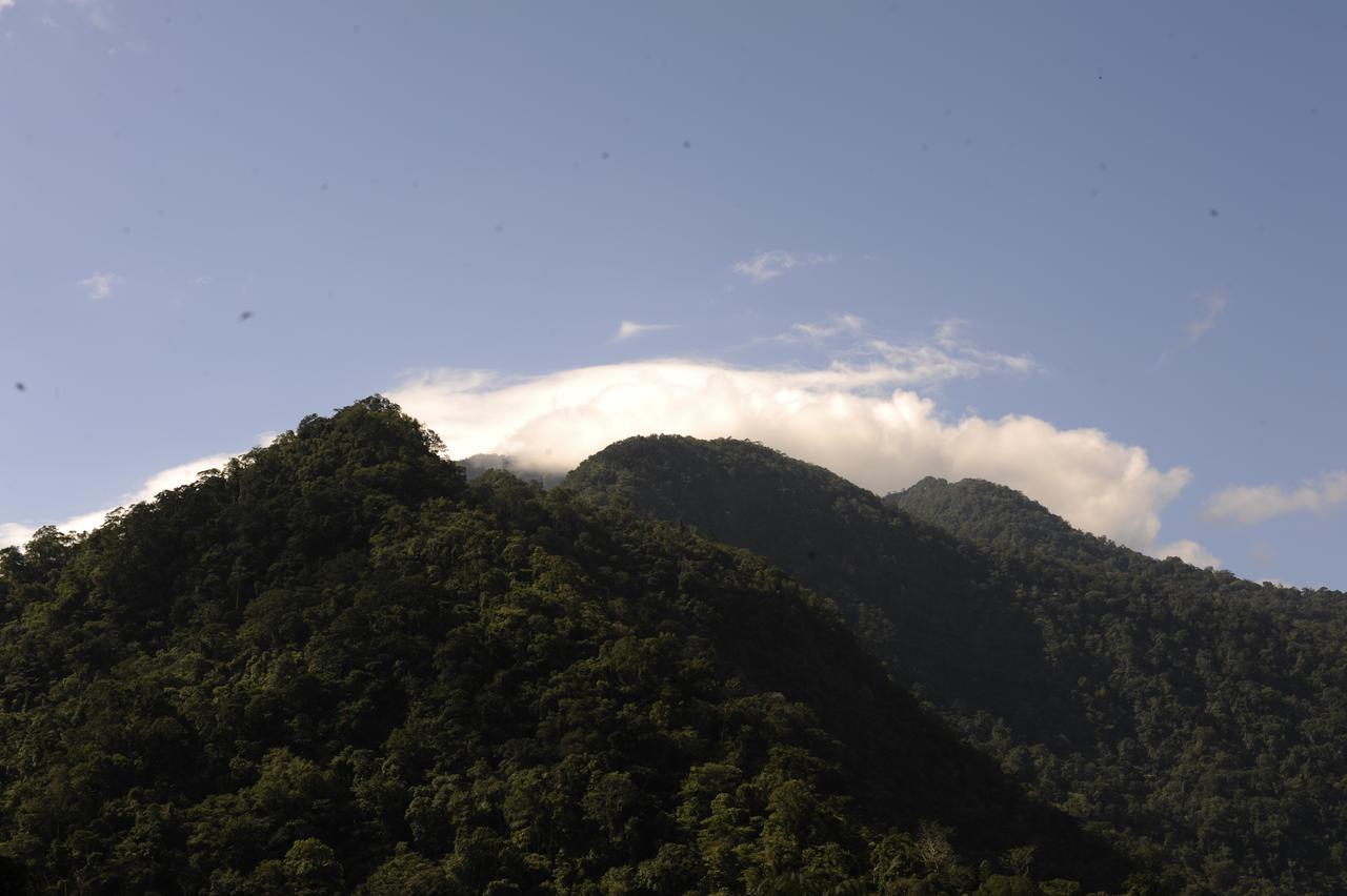 Omega Tours Eco-Jungle Lodge La Ceiba Luaran gambar