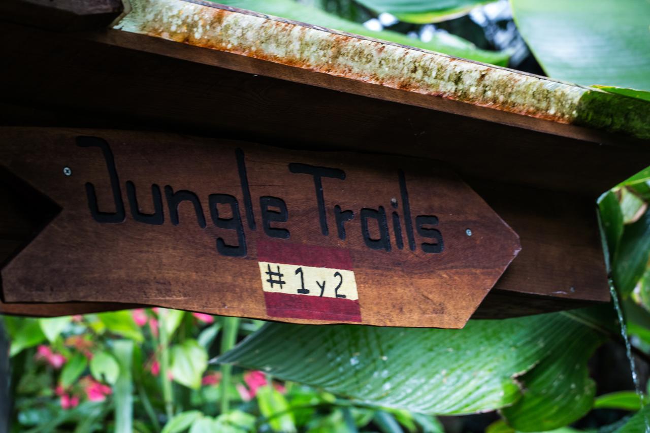 Omega Tours Eco-Jungle Lodge La Ceiba Luaran gambar